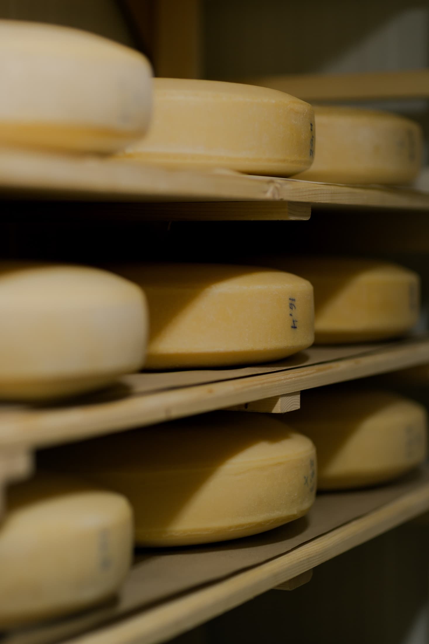 Produse lactate realizate și maturate local