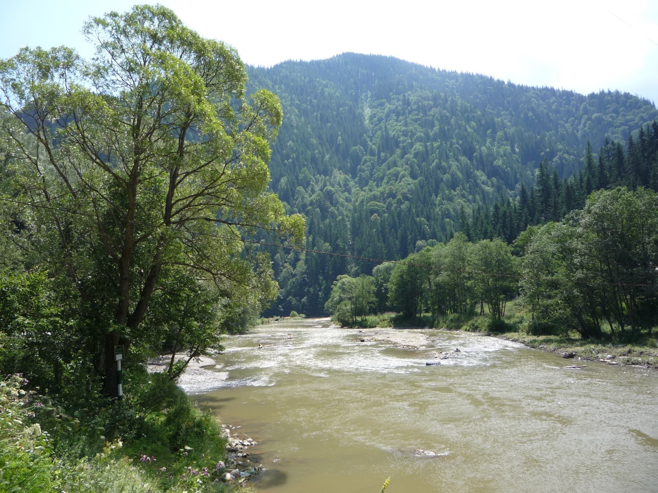 Râu curgând printre păduri și munți aproape de Vatra Dornei.